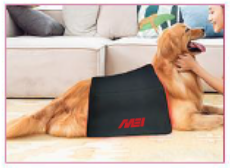 MEI-002P - Combination Light Pad