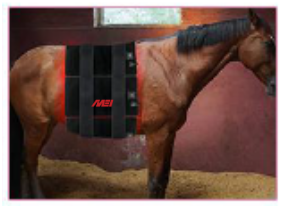 MEI-002P - Combination Light Pad