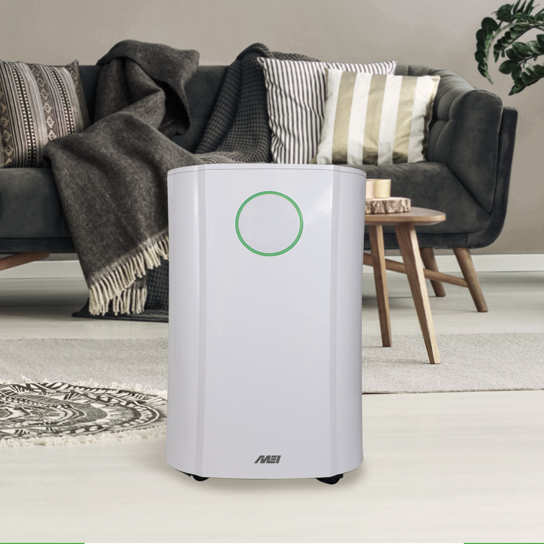 DESUMIDIFICADORES / DEHUMIDIFIERS - DH 5520